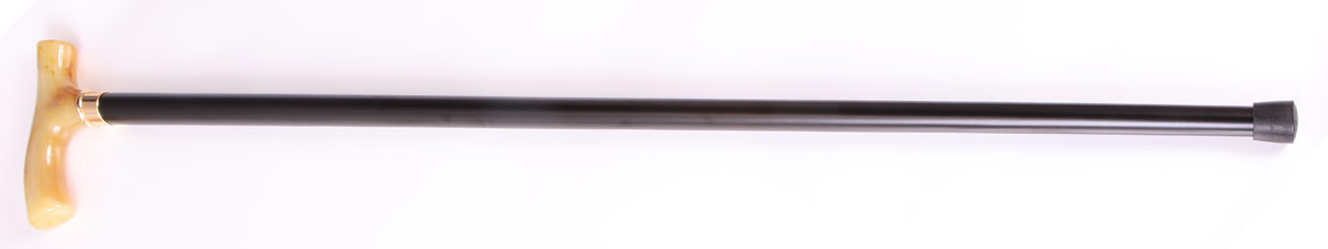 foto vych�zkov� h�l